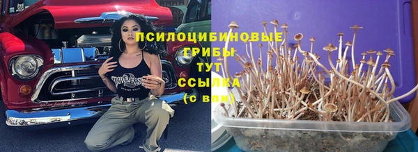 стафф Семёнов