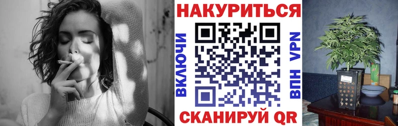 Купить где  Знаменск  Бошки марихуана SATIVA & INDICA 